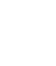 Fake Taxi